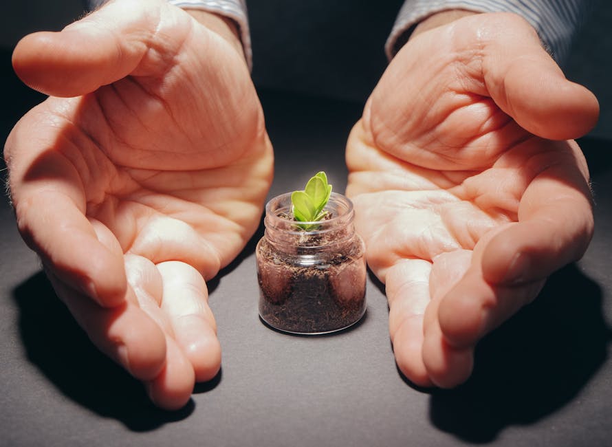 Hands gently cradle a small plant in a jar, symbolizing care and growth.