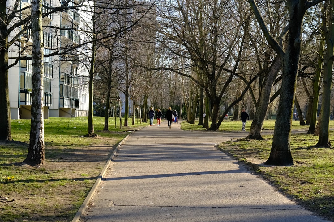 a sidewalk in a park lined with trees