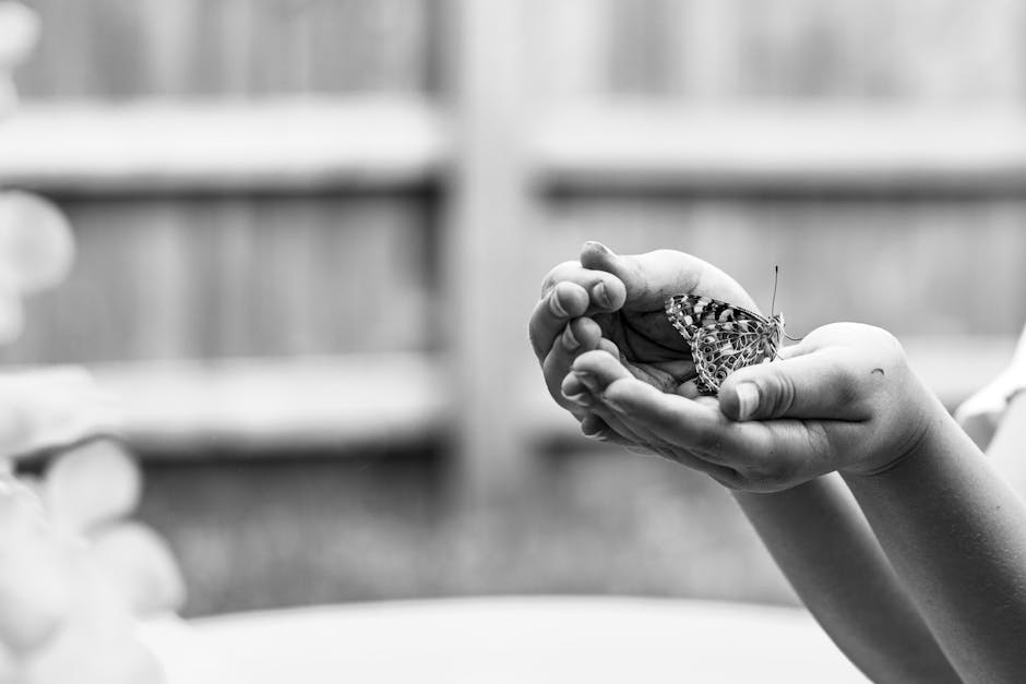 A tranquil black and white photo captures a butterfly resting gently in hands outdoors.