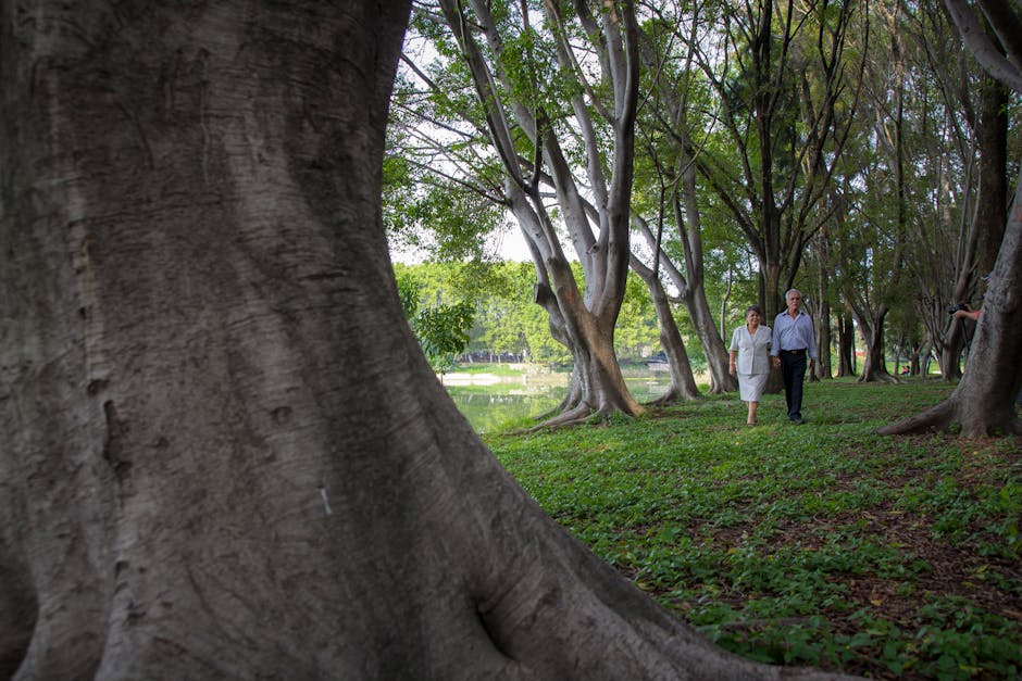 An elderly couple enjoys a peaceful walk in a wooded park under tall trees.